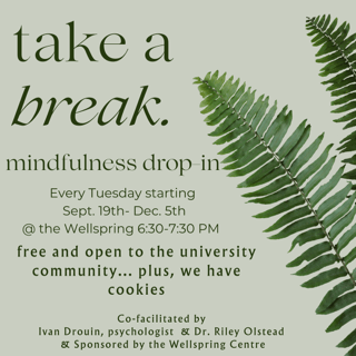Poster for mindfulness-drop-in at Wellspring centre